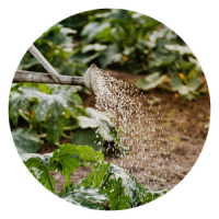 Humiverse Garden_Grafiken_Wasserspeicherung